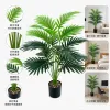 Succulent plant mini bonsai, succulent potted plants, indoor green plants, decorative ornamental potted plants, gardening supplies Application Scenario